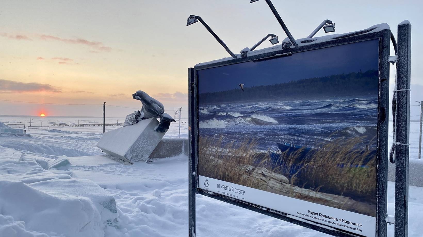 В Архангельске на набережной Северной Двины можно посмотреть лучшие фотоработы конкурса «Открытый Север-2021»