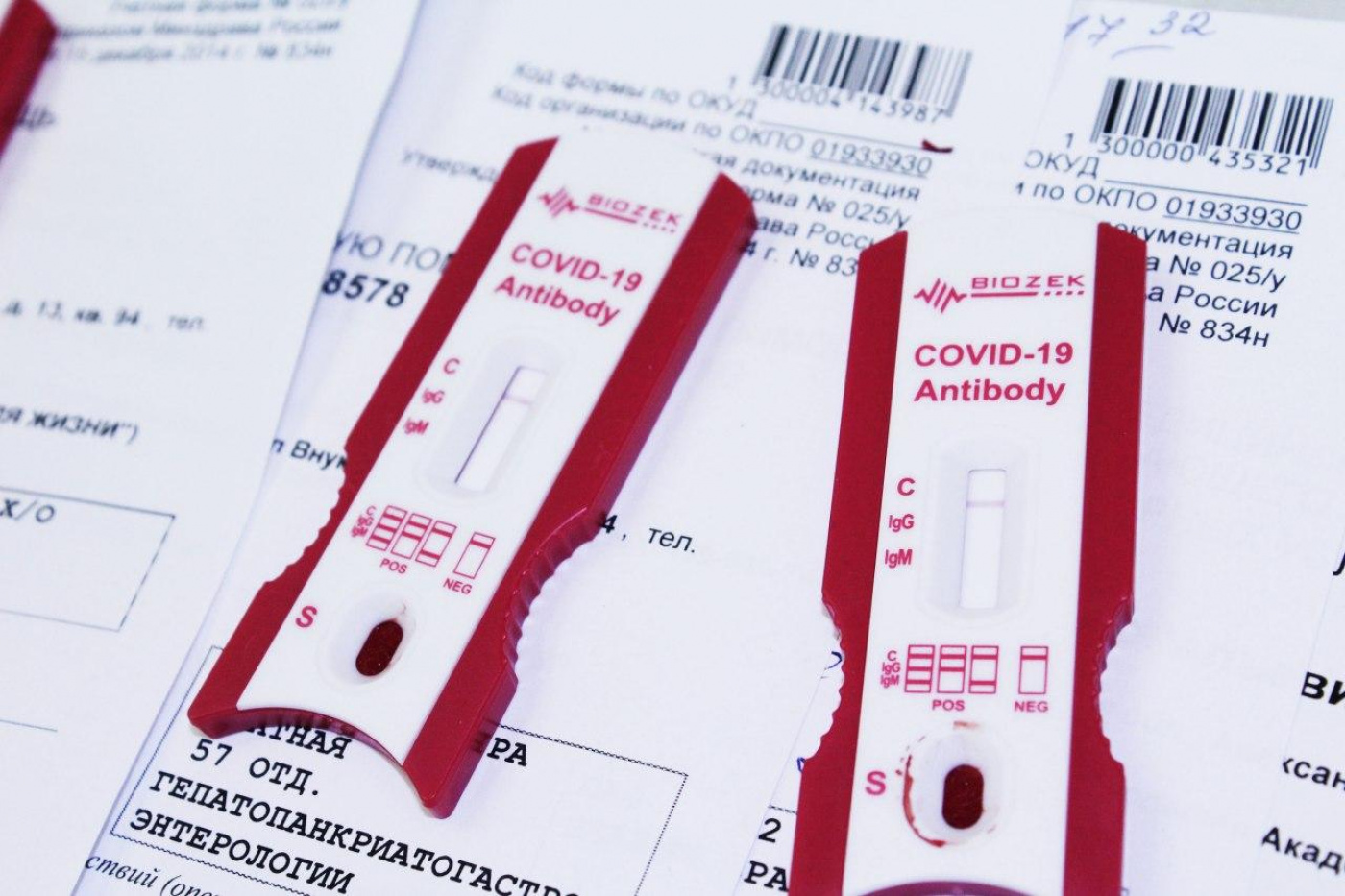 Теперь жители Поморья могут получить QR-коды, сдав анализы на антитела к коронавирусу