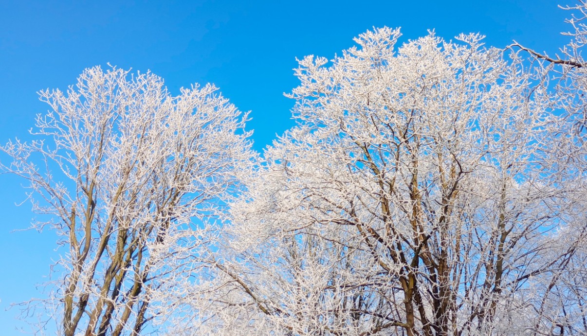 Татьяна Буланова рассказала о суровых зимних гастролях и любви к морозам