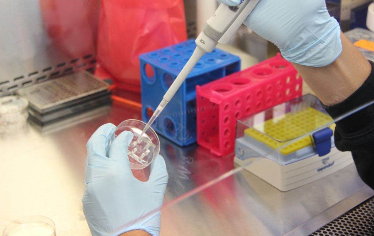 Утреннее солнце улучшает качество сна и помогает настраивать биологические часы