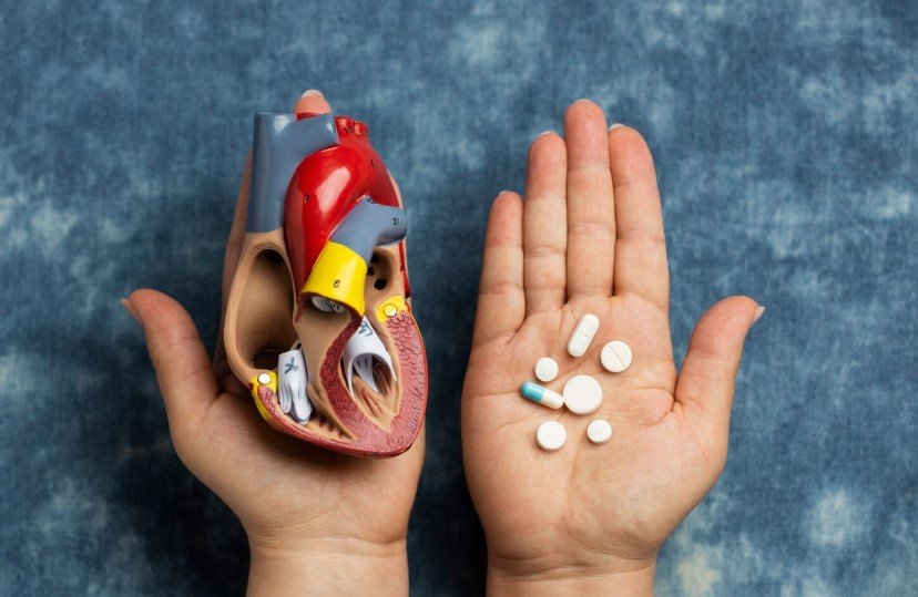 Учёные выявили 24‑часовой биологический цикл работы печени и факторы его нарушения