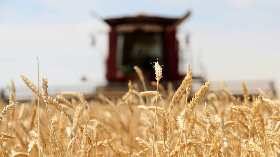 Татарстан планирует инвестировать более 43,5 млрд рублей в агропромышленный комплекс до 2030 года