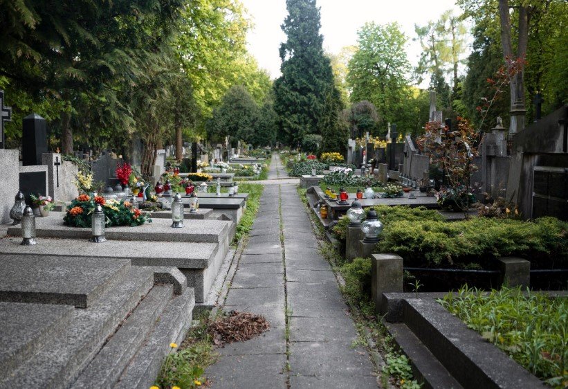 Учёные реконструировали семейные отношения людей каменного века по ДНК