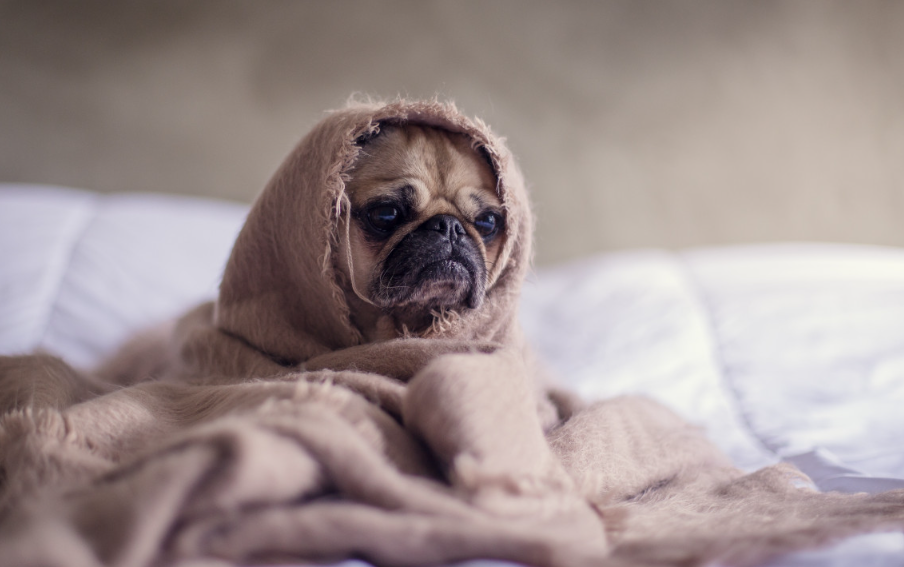 Эксперт Быков объяснил, почему весной люди испытывали апатию и раздражительность