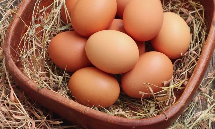 Названы полезные свойства и рекомендации по употреблению яиц