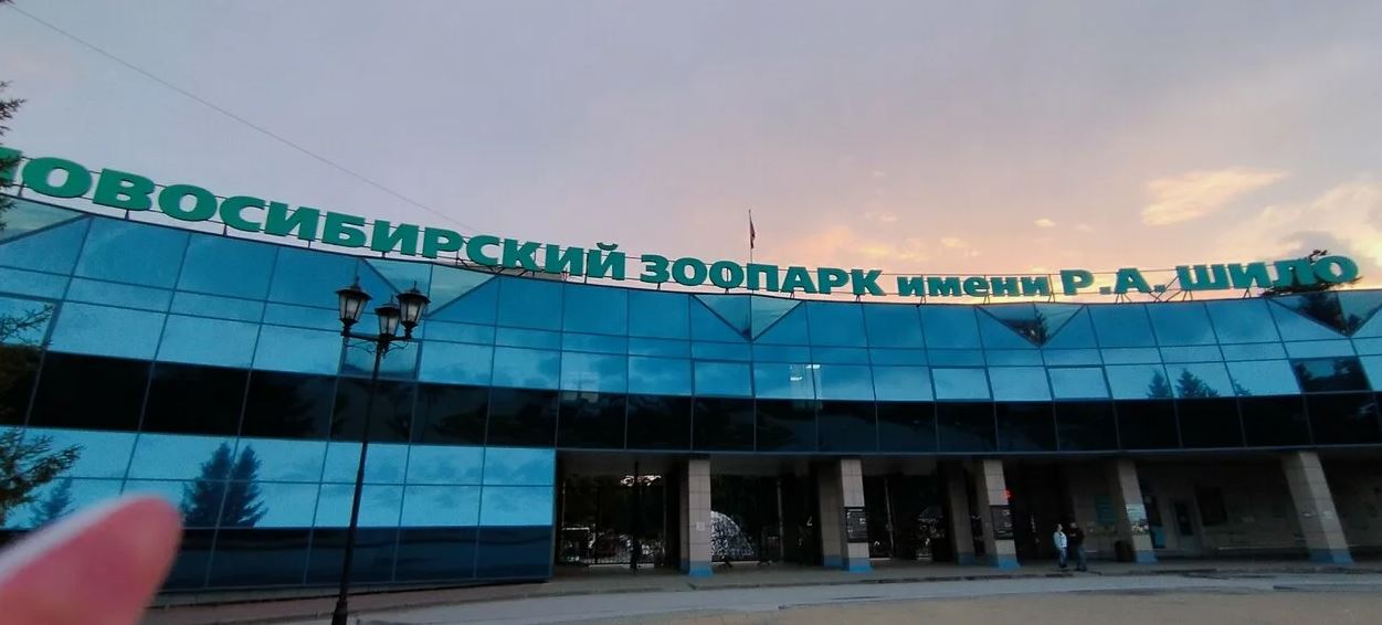 В Новосибирском зоопарке готовятся к юбилею: новые павильоны и арктический комплекс