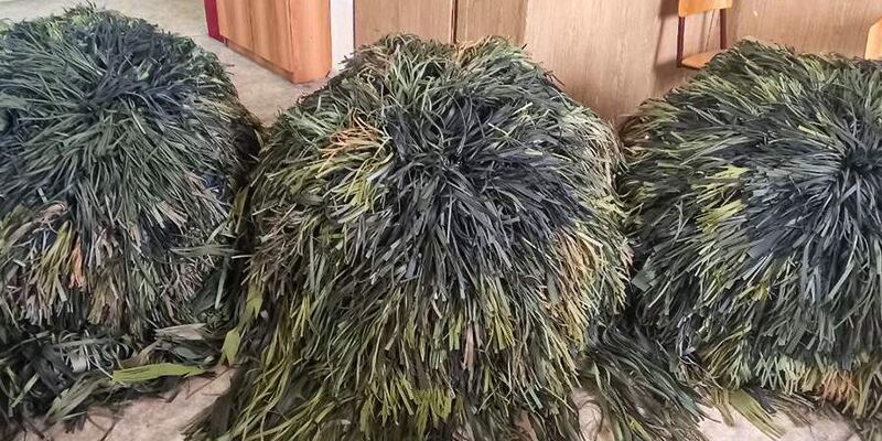 В России создали маскировочный зонт, скрывающий военных от тепловизоров