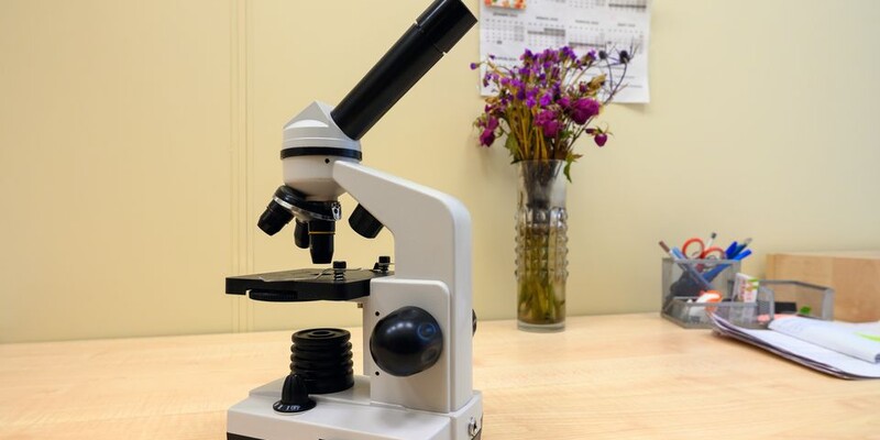 Швейцарские учёные выявили белки, замедляющие старение у столетних людей