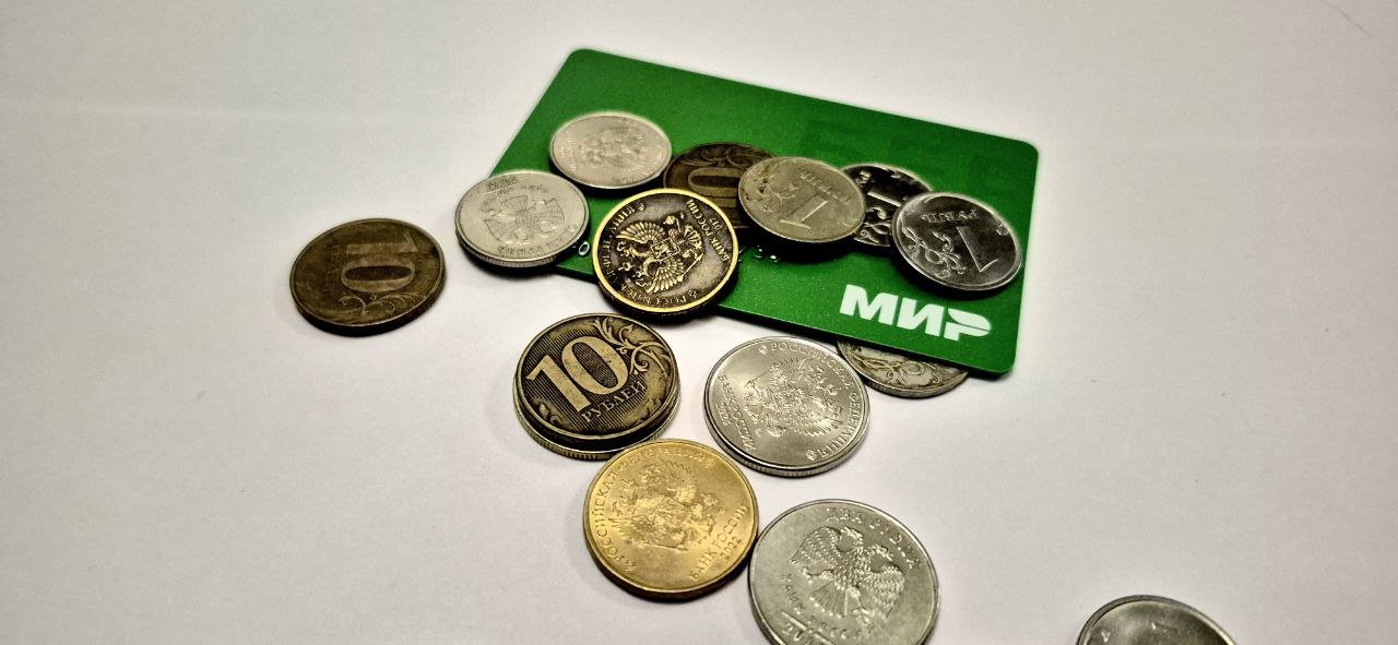 Миронов предложил ввести ежемесячную «зарплату для мам» в России