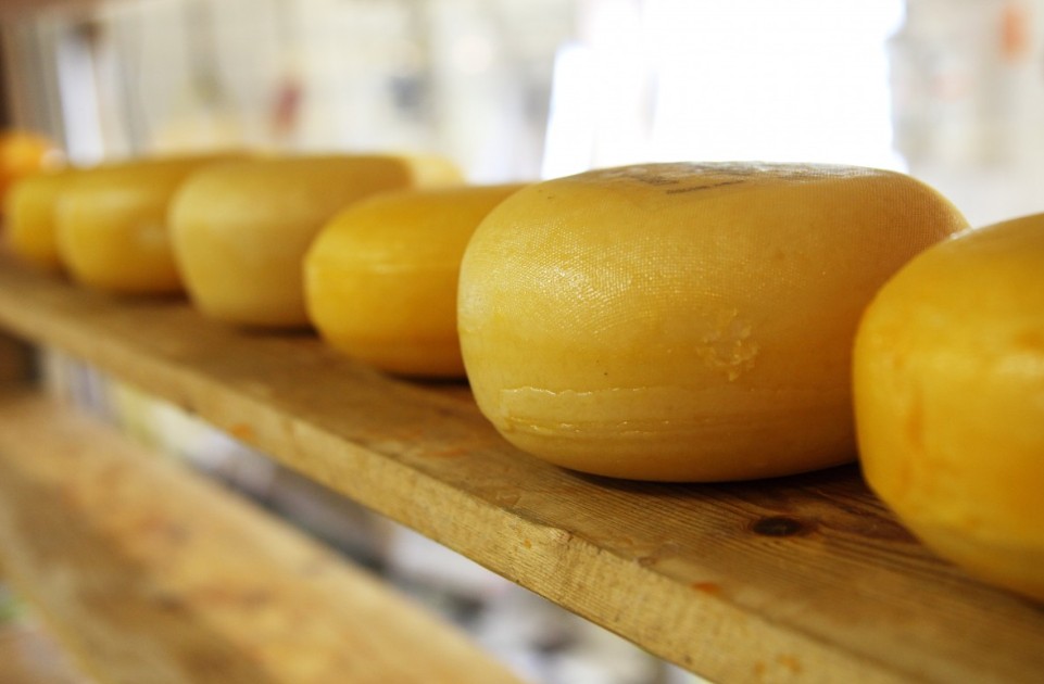 Диетолог объяснил, какие сорта сыра наиболее полезны для здоровья