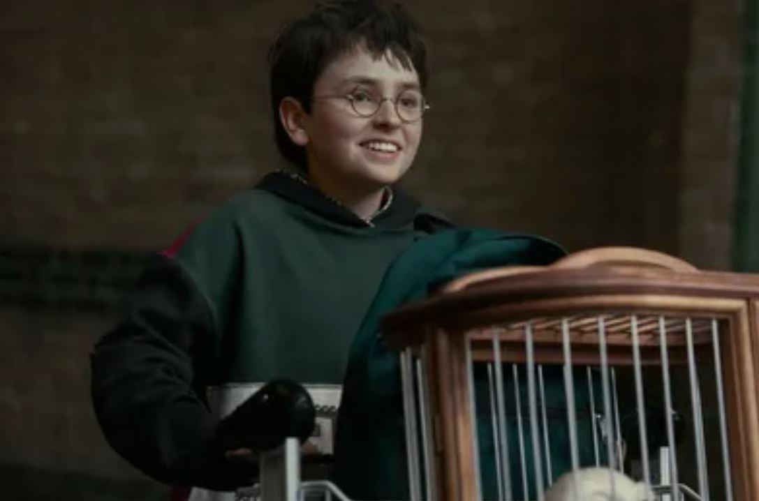 Джоан Роулинг высказалась о телеадаптации «Гарри Поттера»