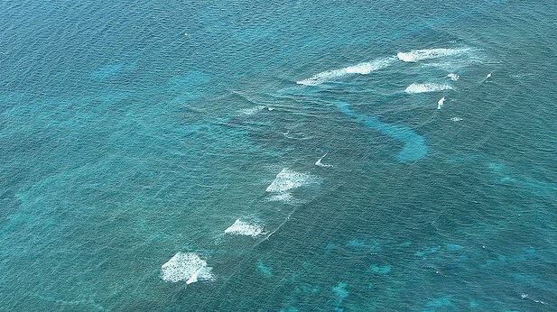 Учёные бьют тревогу: Гольфстрим под угрозой разрушения